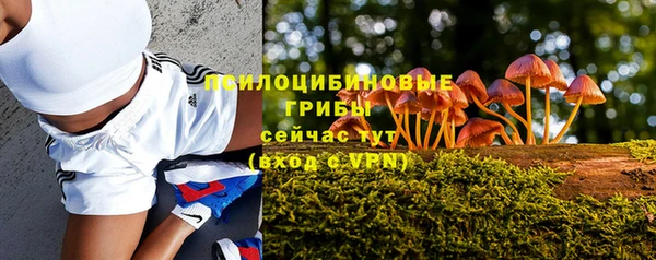 MDMA Premium VHQ Зеленокумск