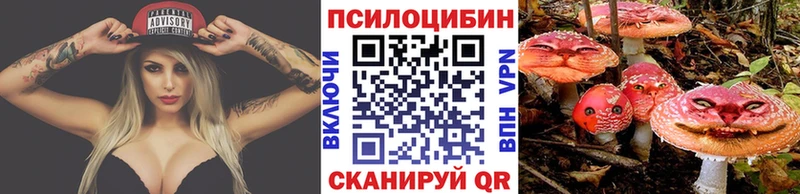 Купить  Пласт  Псилоцибиновые грибы Psilocybe 